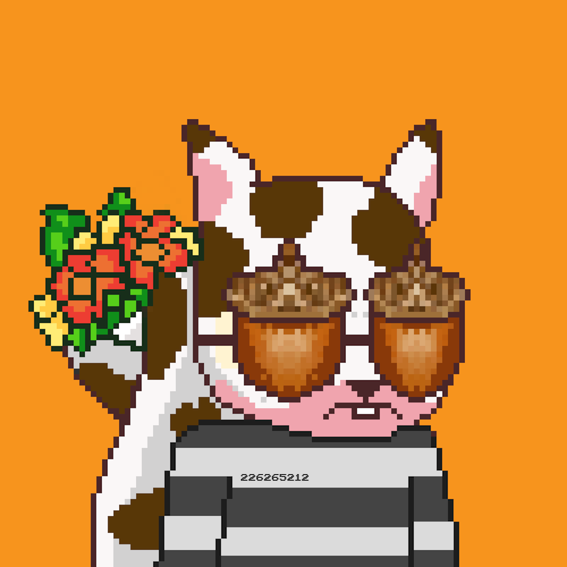 Pixel Squirrels #9147